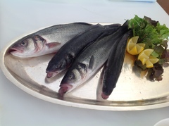 Fish & Seafood on the Grill