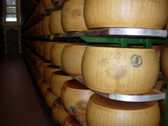 2024 Gourmet Tour of Italy