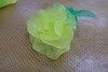 Kids: St. Patrick's Day Baking
