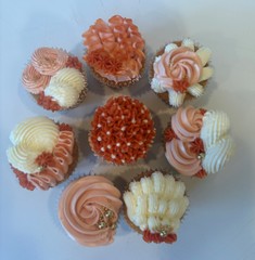 Cupcakes and Cake Decorating & Flower Making Techniques