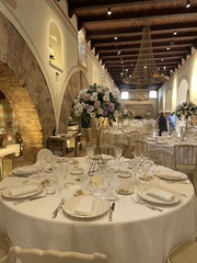 Dining Under the Stars